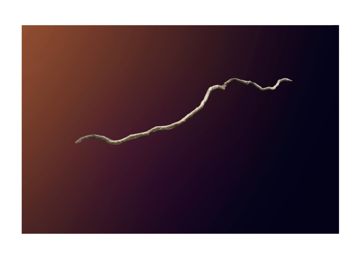 Systems: Studies